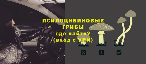 бошки Верея