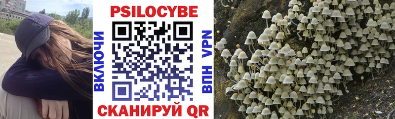 Псилоцибиновые грибы мухоморы где продают наркотики Хабаровск